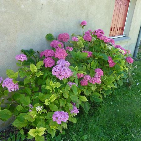 Maison Renovee Avec Cour Privee, Proche De Gannat, 3 Chambres, Animaux Acceptes, Equipements Modernes. - Fr-1-489-37 Poezat 외부 사진
