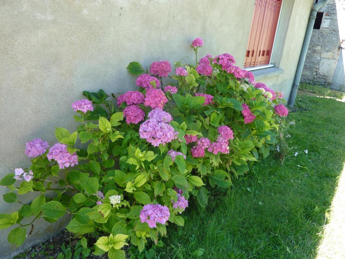 Maison Renovee Avec Cour Privee, Proche De Gannat, 3 Chambres, Animaux Acceptes, Equipements Modernes. - Fr-1-489-37 Poezat 외부 사진